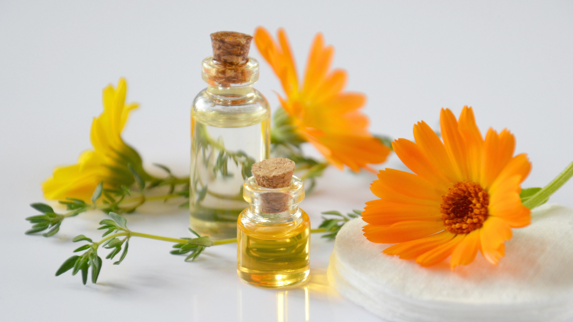 Productos veganos: beneficios de usarlos