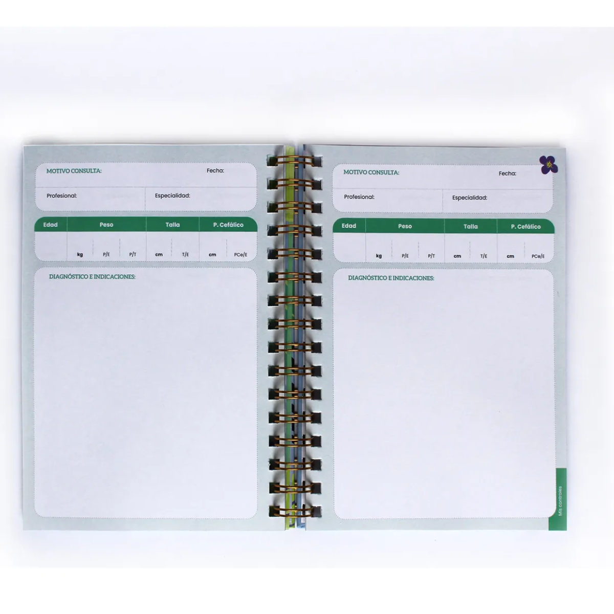 CUADERNO DE SALUD OSO MUNDO DE PAPEL