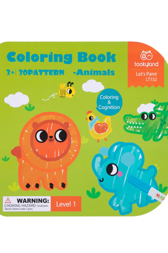 LIBRO DE PINTAR  TOOKY TOY