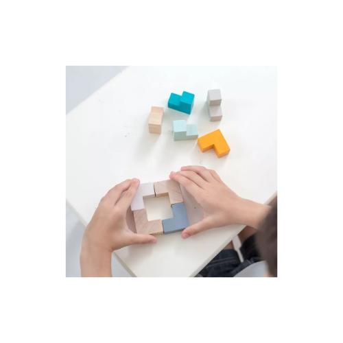 CUBO ROMPECABEZAS 3D - PLANTOYS