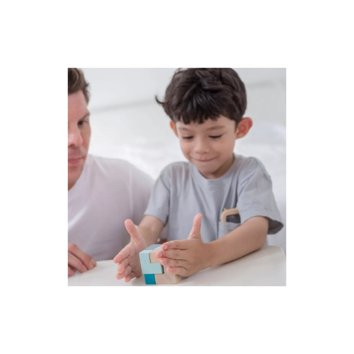 CUBO ROMPECABEZAS 3D - PLANTOYS