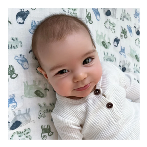 PACK 2 SWADDLE TIME TO DREAM  ADEN & ANAIS