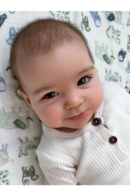 PACK 2 SWADDLE TIME TO DREAM  ADEN & ANAIS