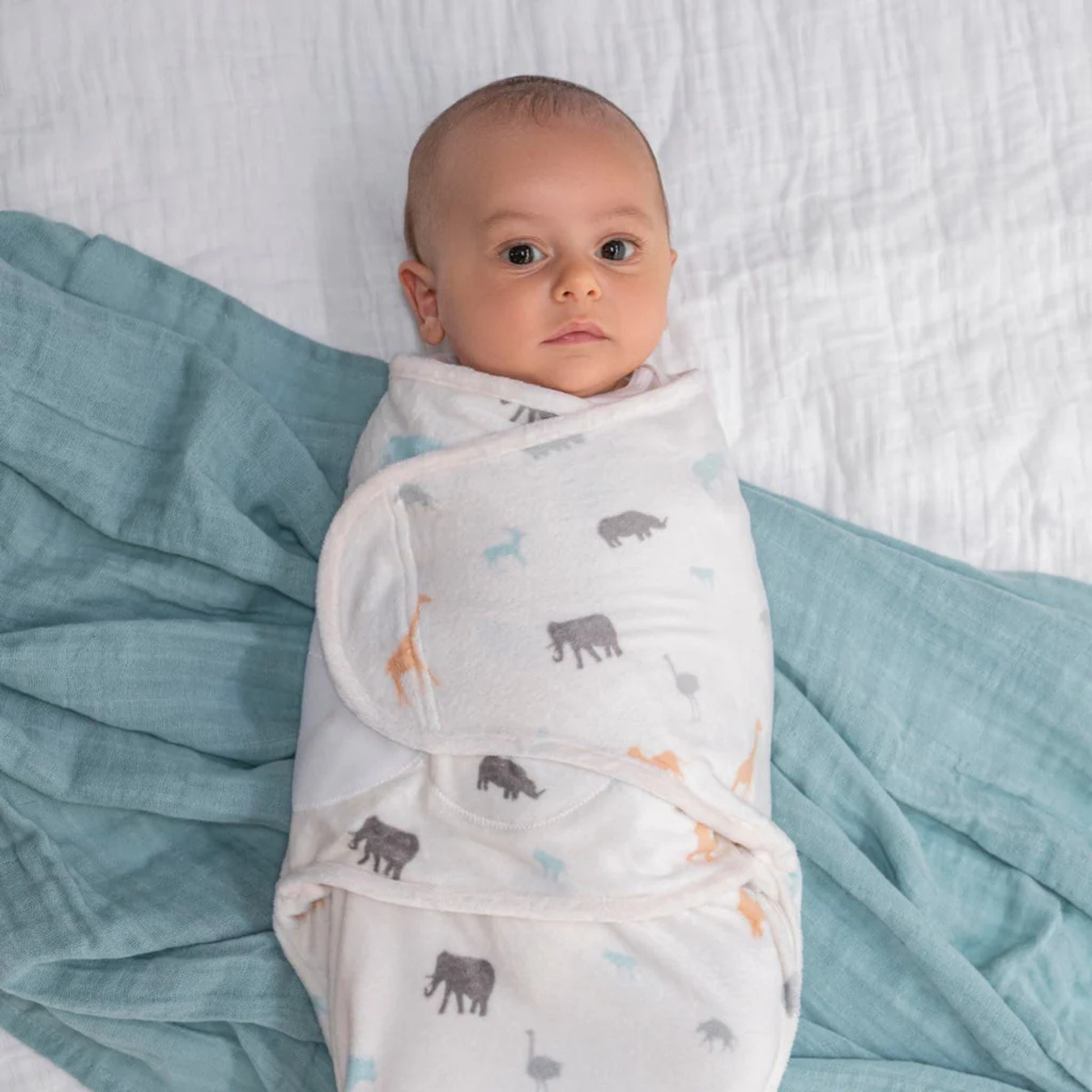 Sacos de Plush 3 Pack para Envolver Bebé Wild Prairie
