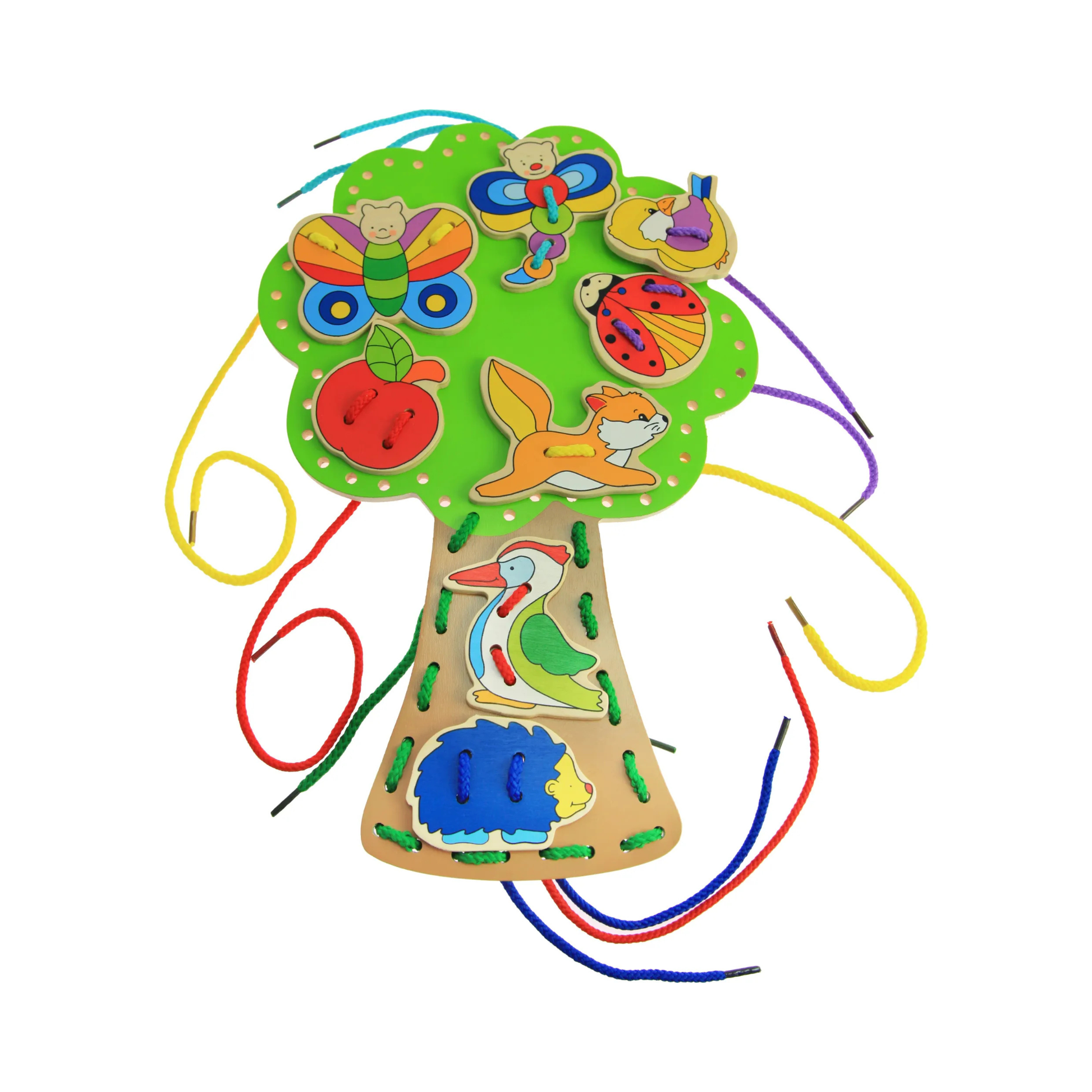 Árbol didáctico con Cordones Goki