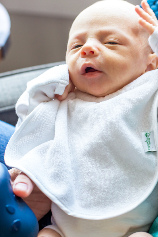 Baberos Impermeables Pack X3 Green Sprouts