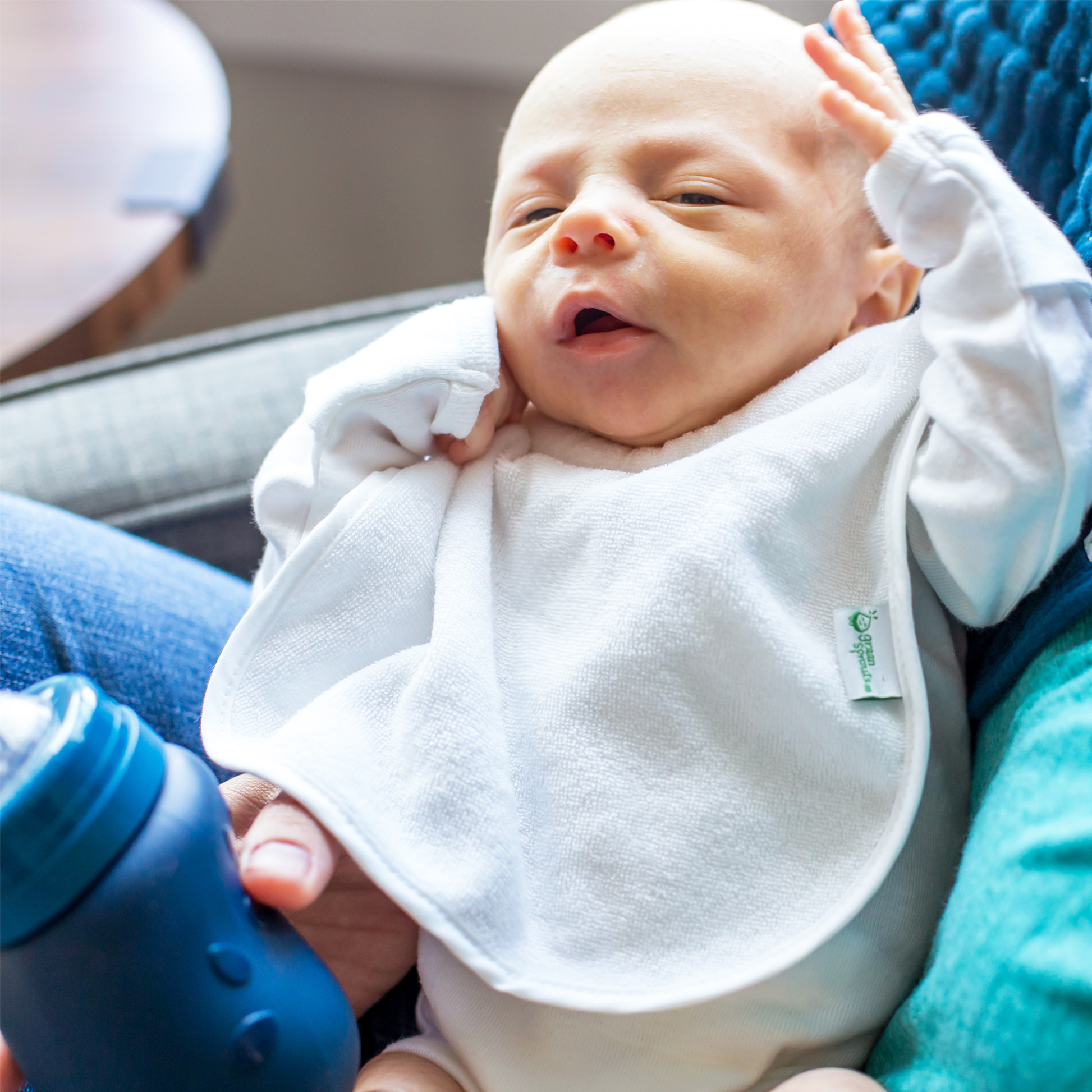 Baberos Impermeables Pack X3 Green Sprouts