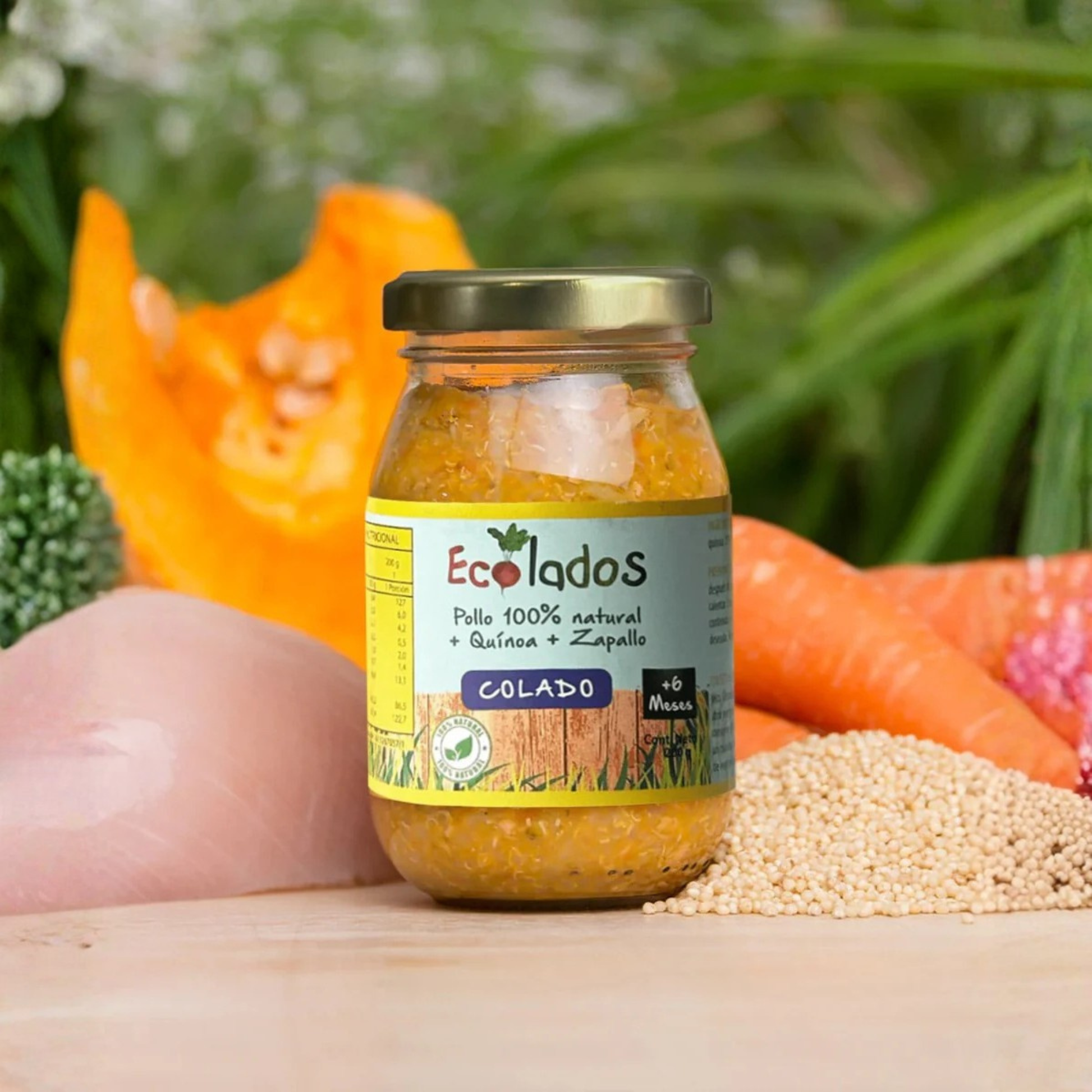 Colado 100% Natural de Pollo, Quínoa y Zapallo Ecolados