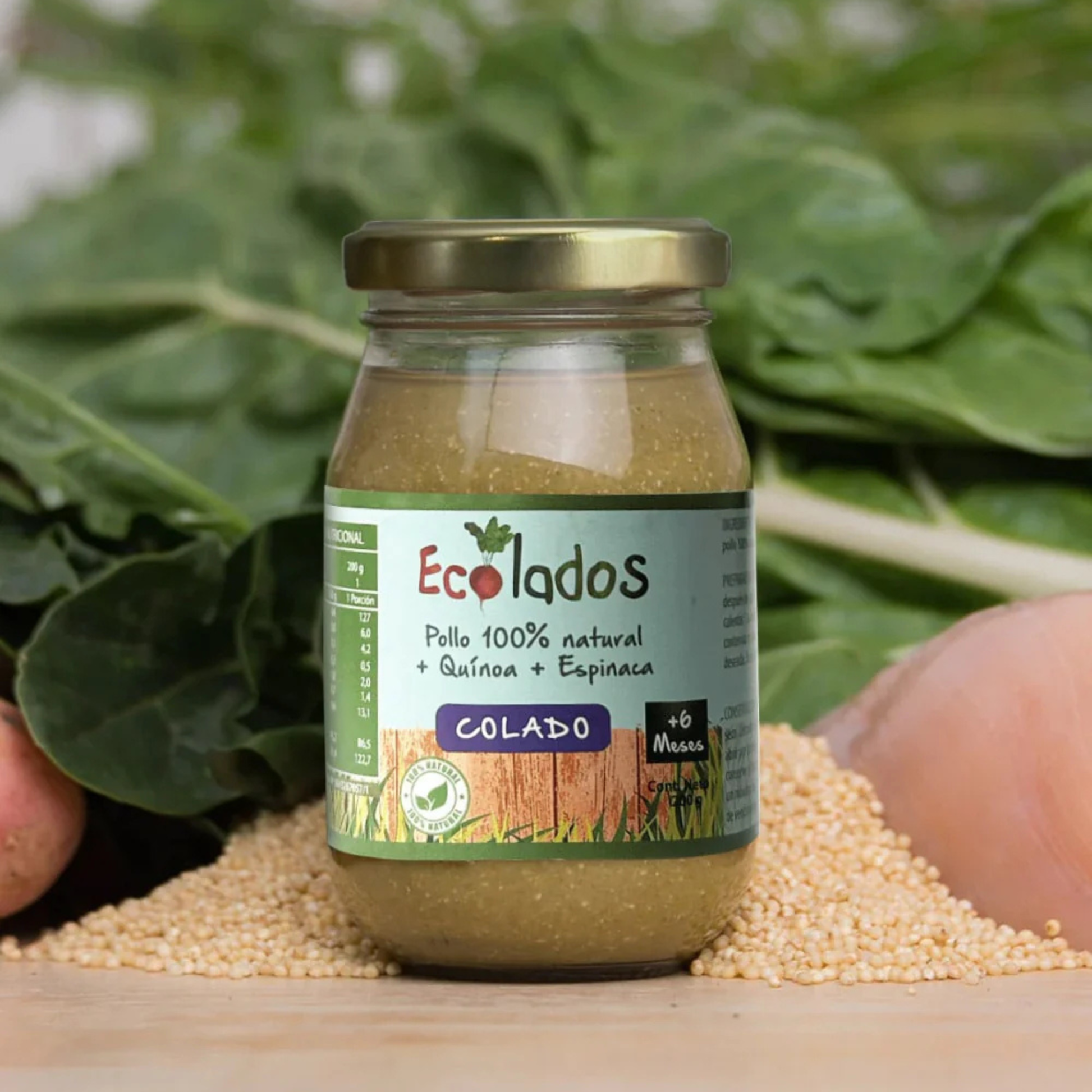 Colado 100% Natural de Pollo, Quínoa y Espinaca Ecolados