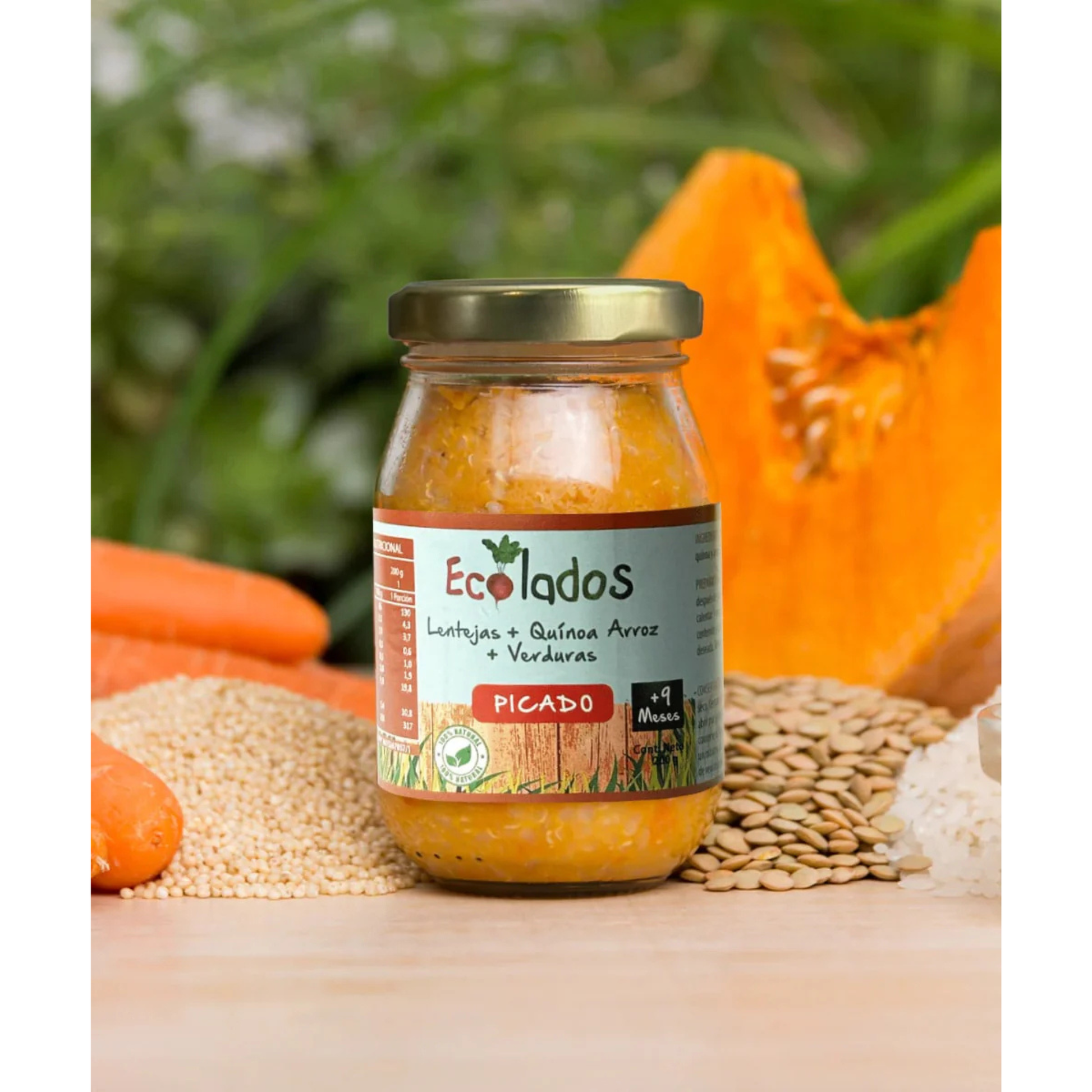 Picado 100% Natural de Lentejas, Quínoa, Arroz y Verduras 200gr Ecolados