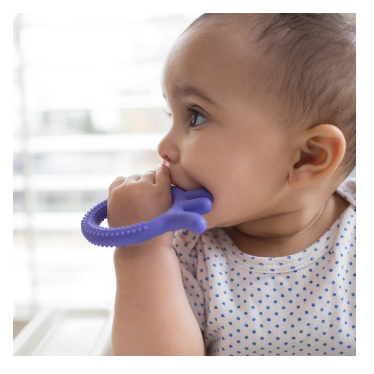 MORDEDOR FLEXIBLE PULPO MORADOR  +3M - DR. BROWN’S