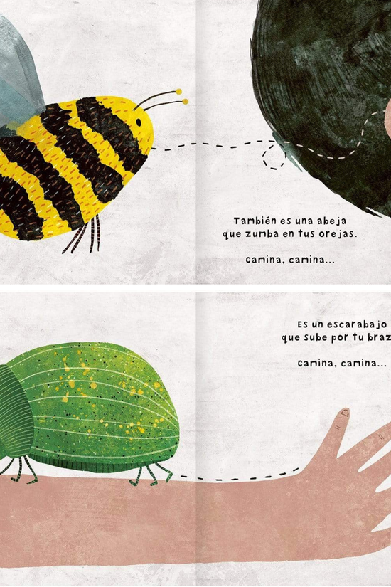 Libro Infantil Menudos bichos Estrella Ortiz & Carmen Saldaña Amanuta