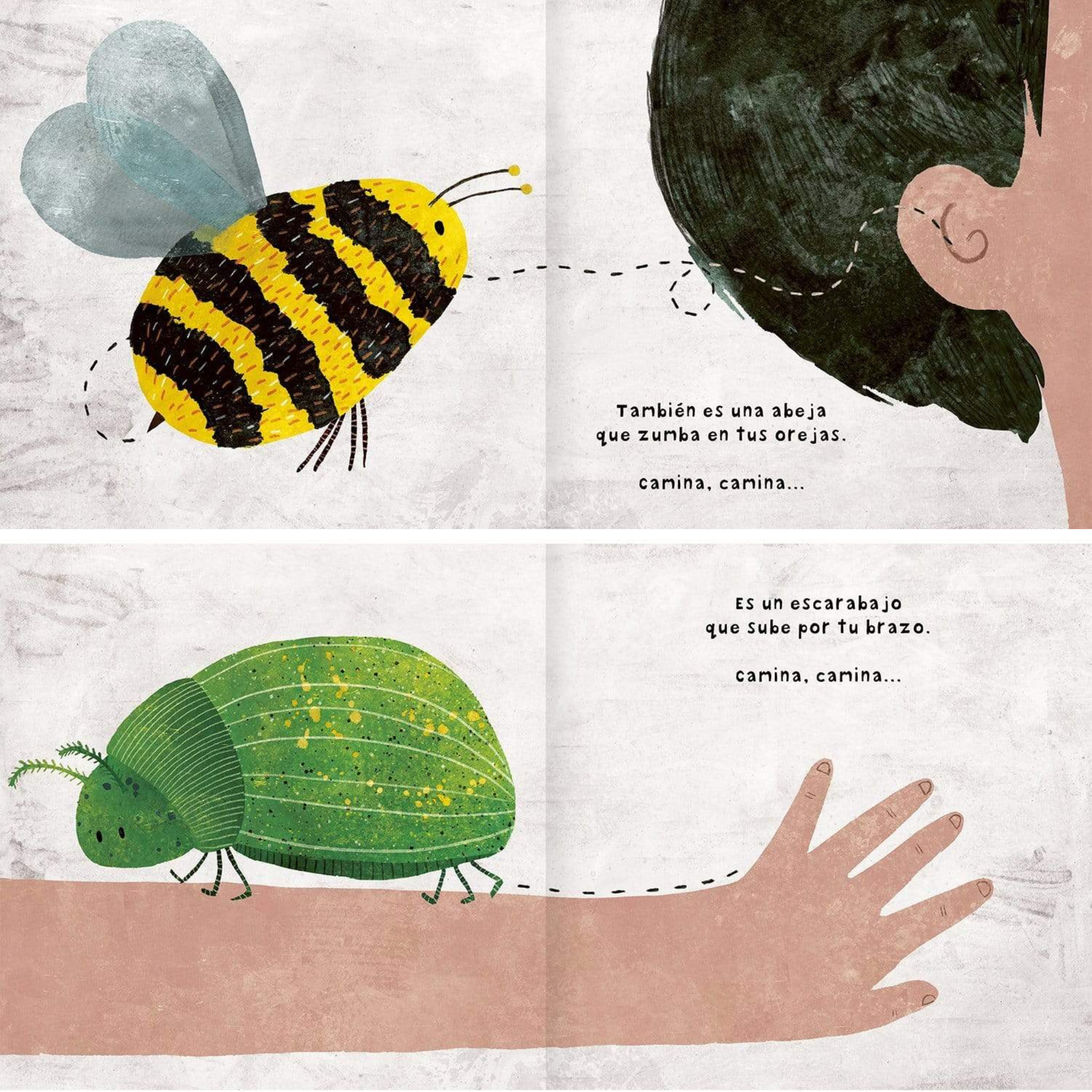 Libro Infantil Menudos bichos Estrella Ortiz & Carmen Saldaña Amanuta