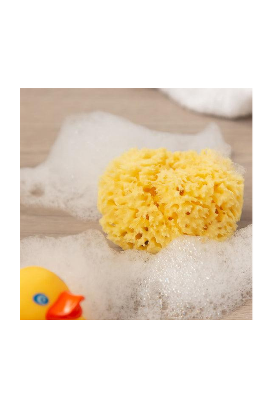 Esponja Natural de Mar Honeycomb Bellini 10 Cm.