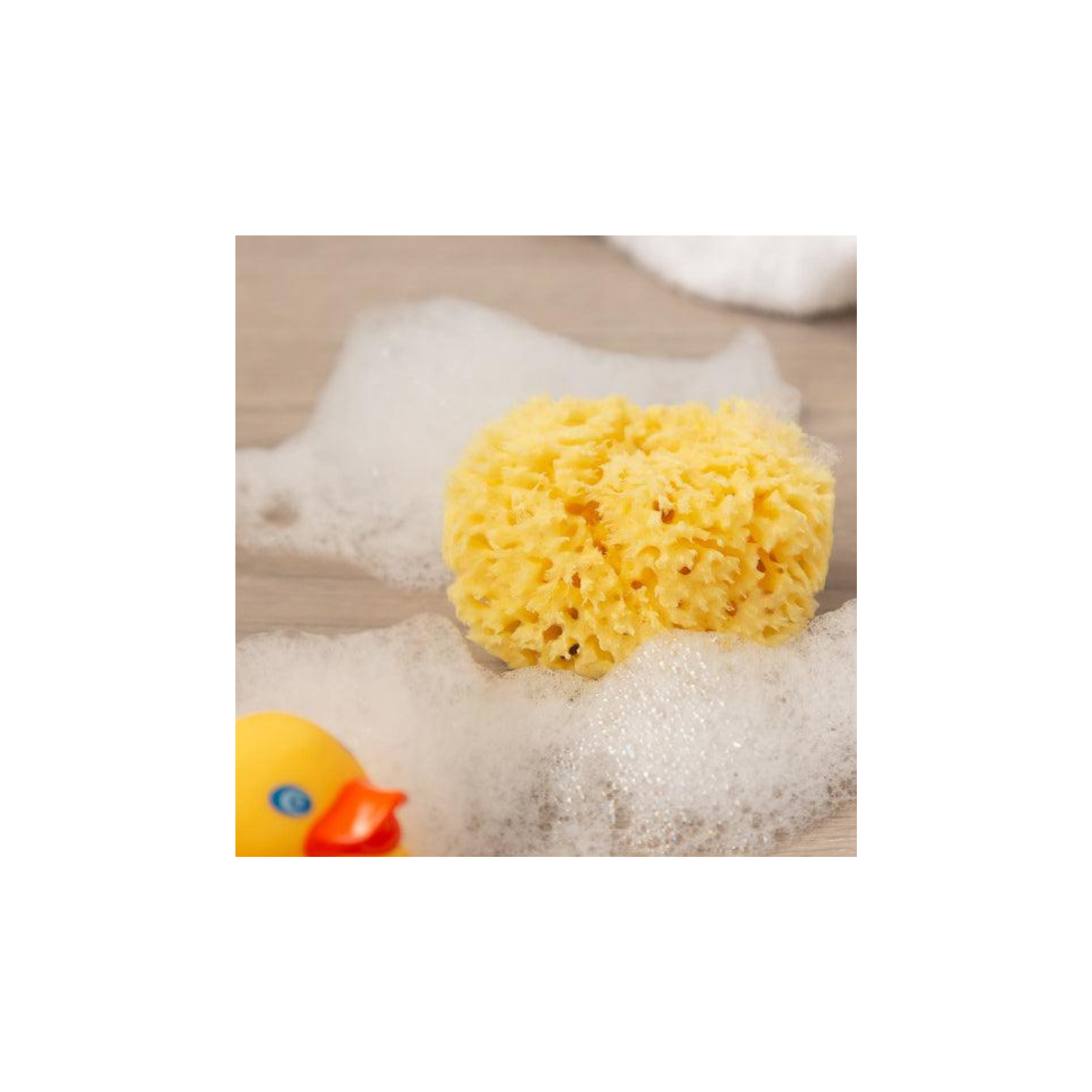 Esponja Natural de Mar Honeycomb Bellini 10 Cm.