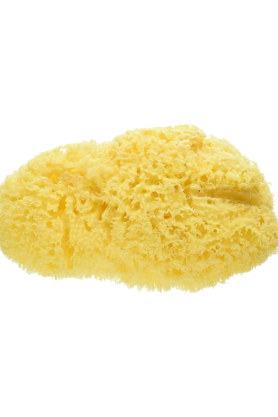 Esponja Natural de Mar Honeycomb Bellini 10 Cm.
