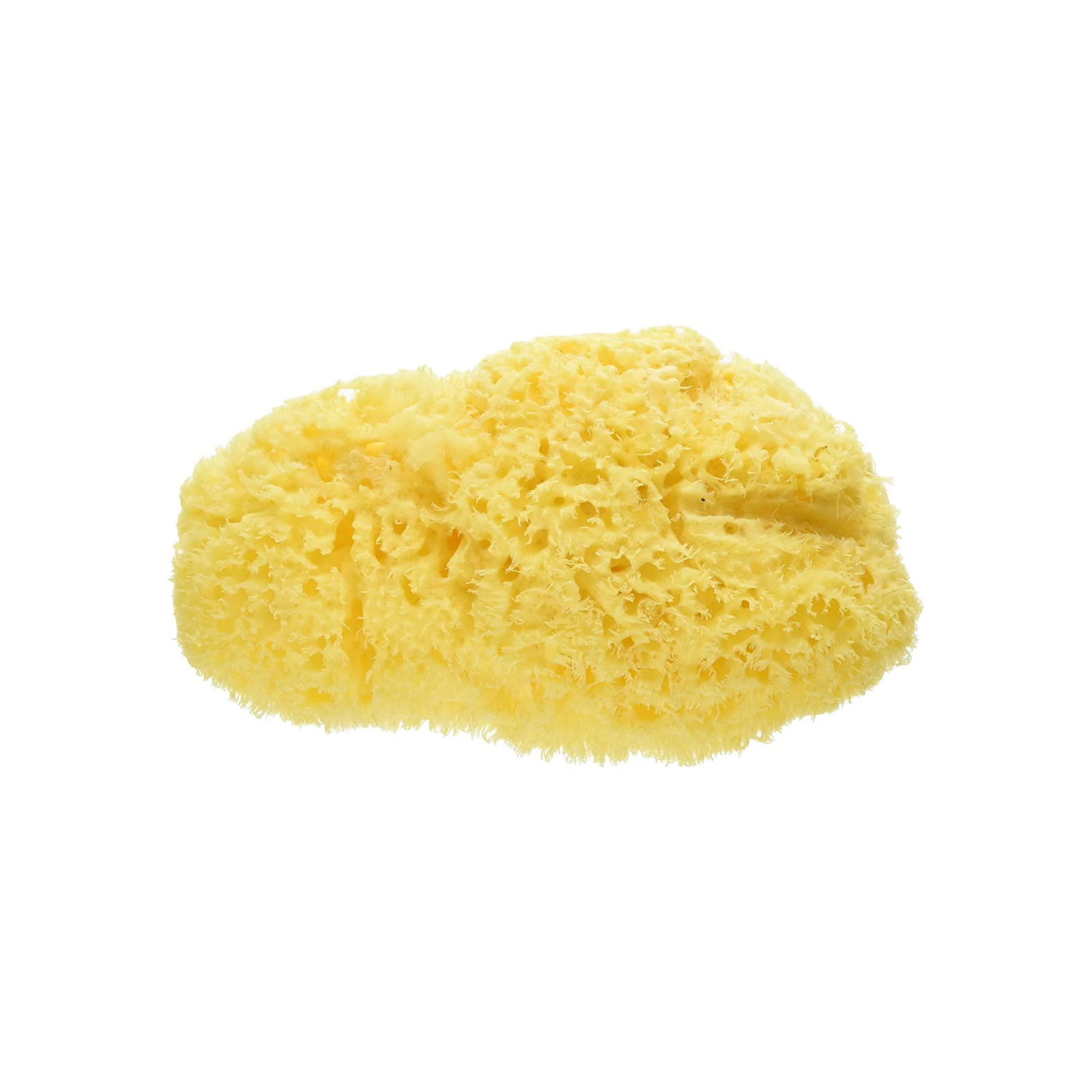 Esponja Natural de Mar Honeycomb Bellini 10 Cm.