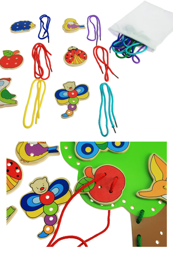 Árbol didáctico con Cordones Goki