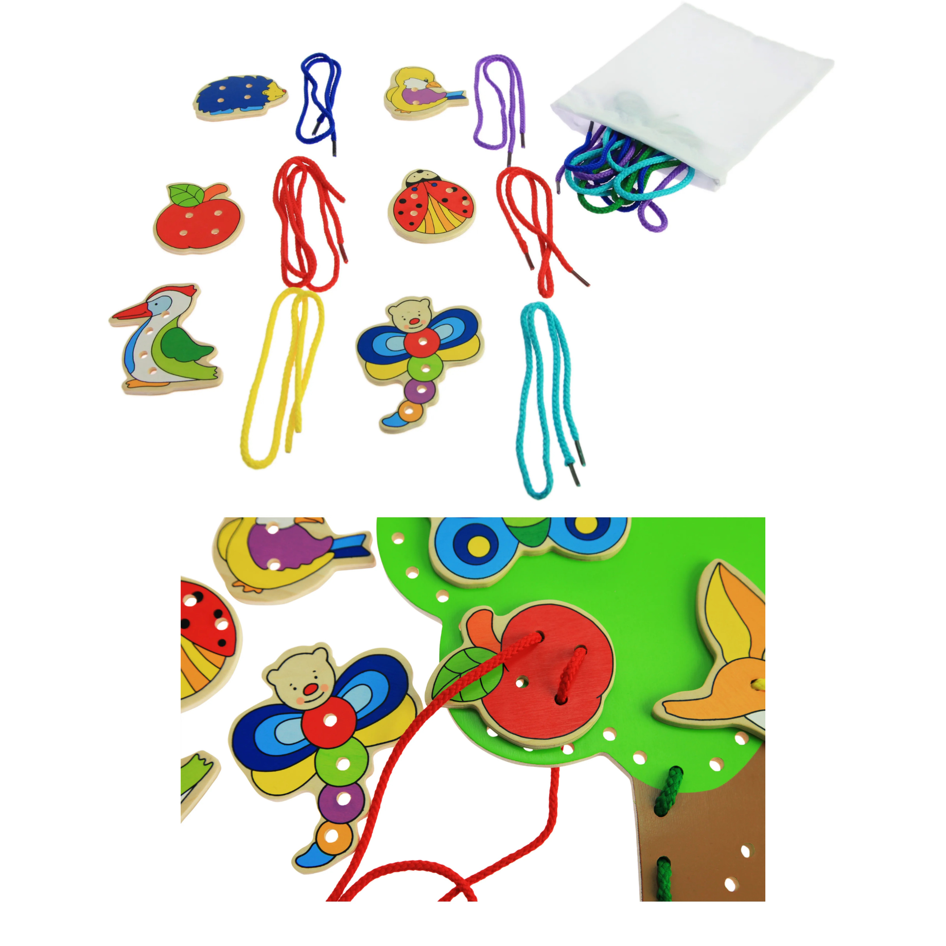 Árbol didáctico con Cordones Goki