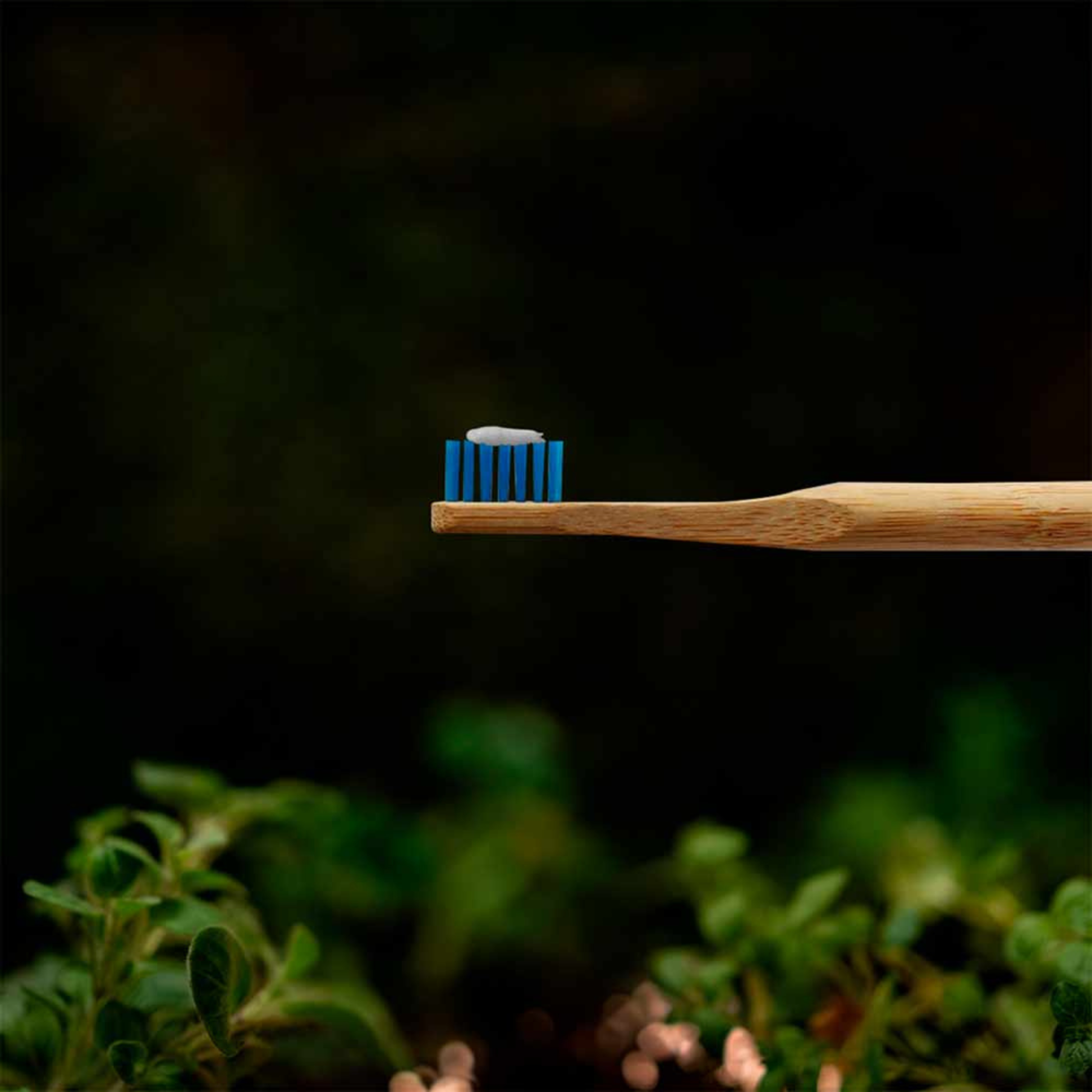 Cepillo Dental Infantil Biodegradable Biobrush