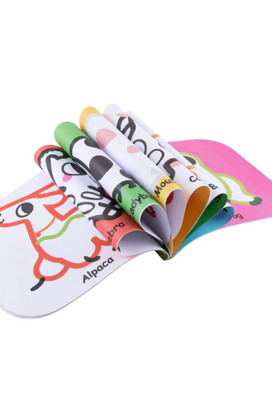LIBRO DE PINTAR  TOOKY TOY