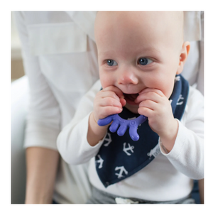 MORDEDOR FLEXIBLE PULPO MORADOR  +3M - DR. BROWN’S