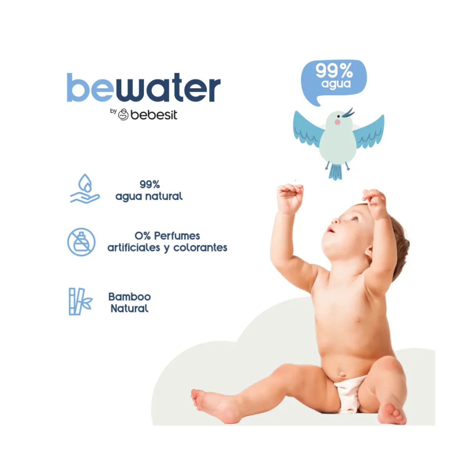 Toallas Húmedas Bewater Bebesit Caja de 12 Paquetes