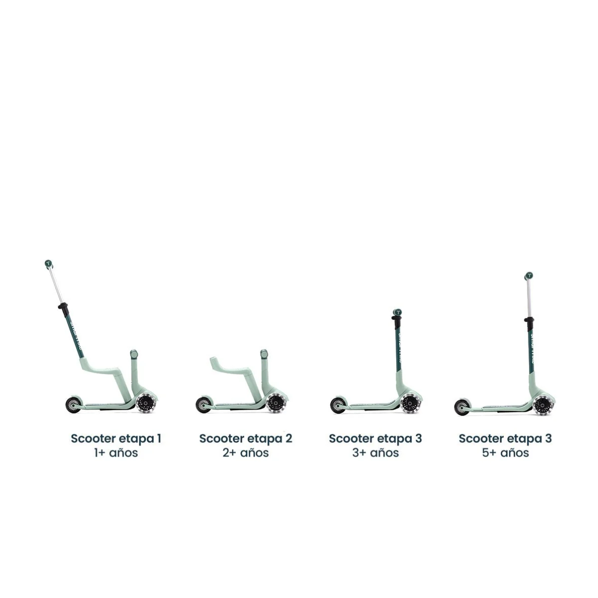 XTENDMINI RIDE 3 en 1 (1-9 años) VERDE  SMARTRIKE