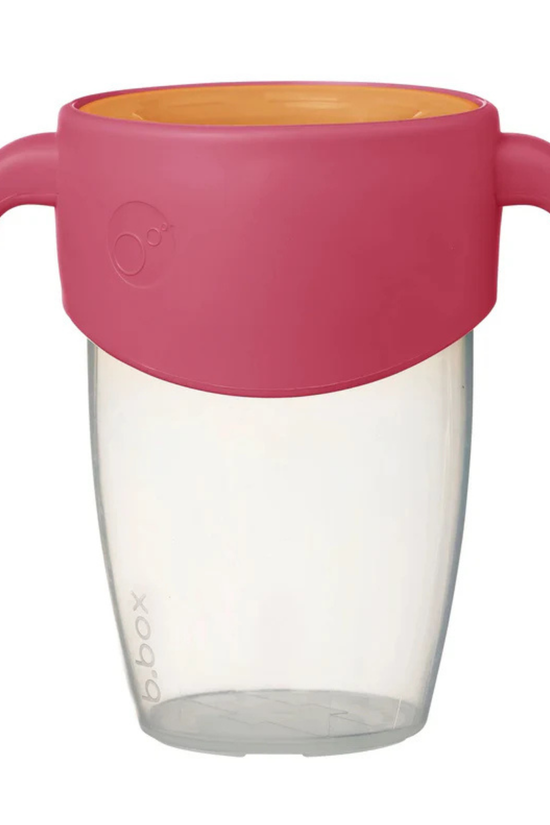 Vaso 360° B.Box 250ml +6m