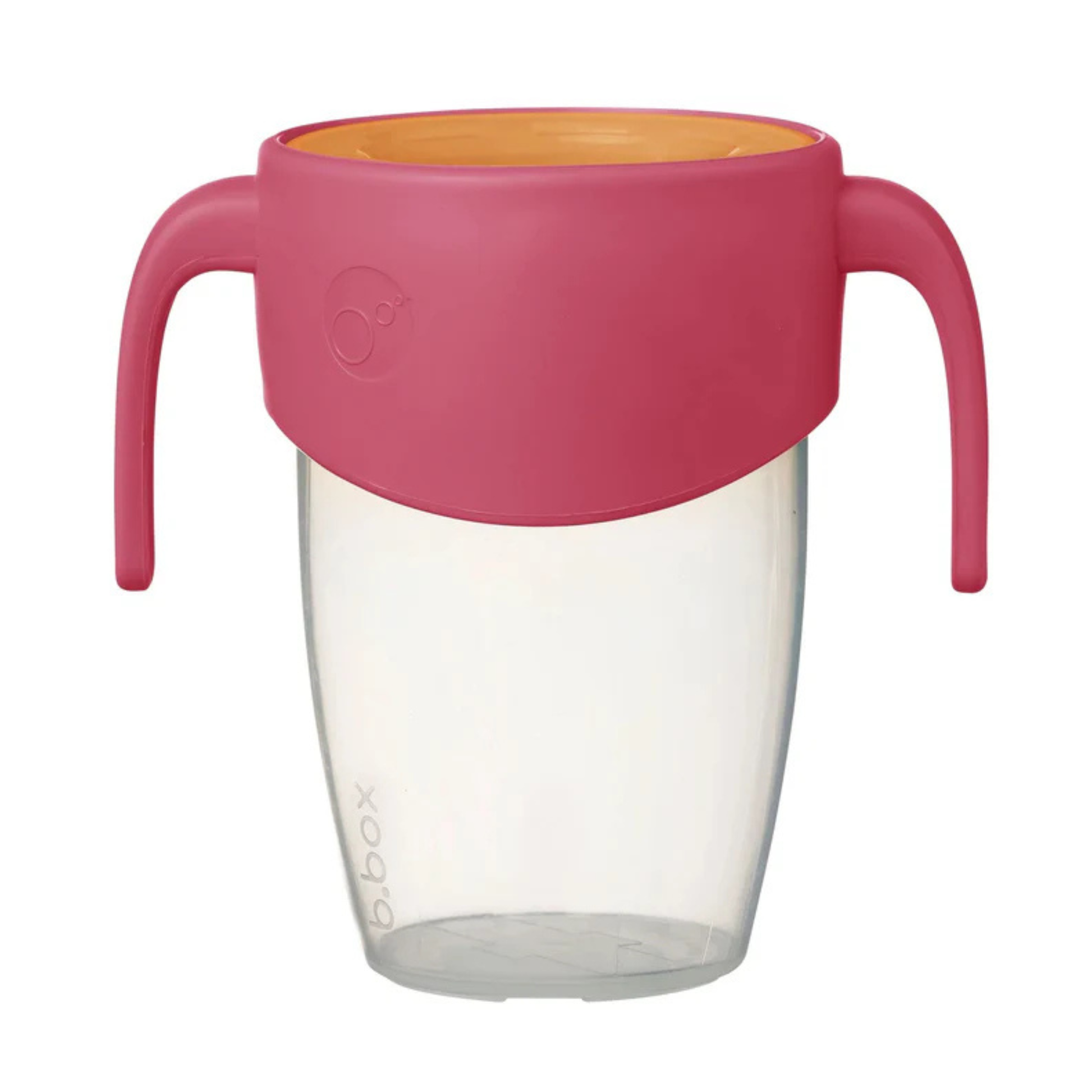 Vaso 360° B.Box 250ml +6m