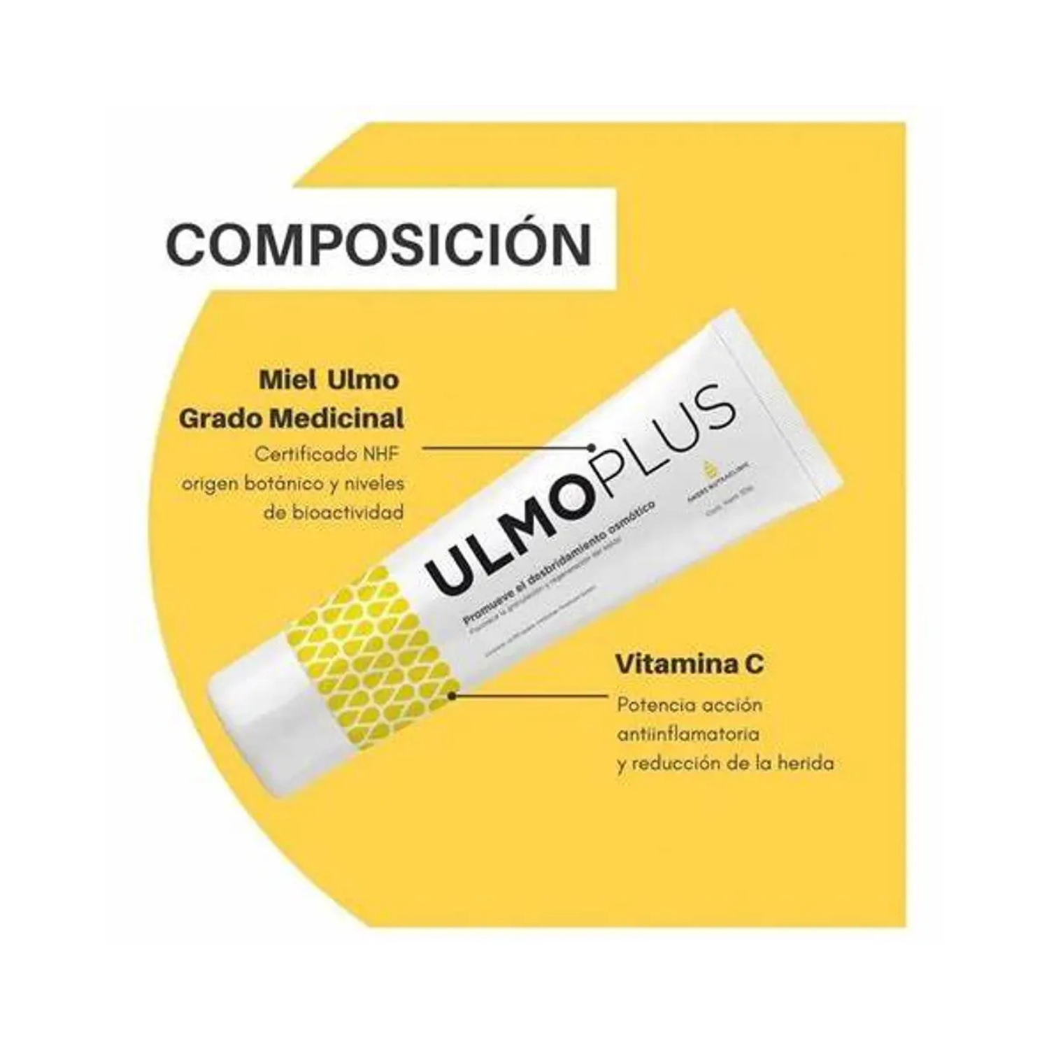 Ulmoplus Andes Nutraclinic Miel De Ulmo Gel 30 Gr.