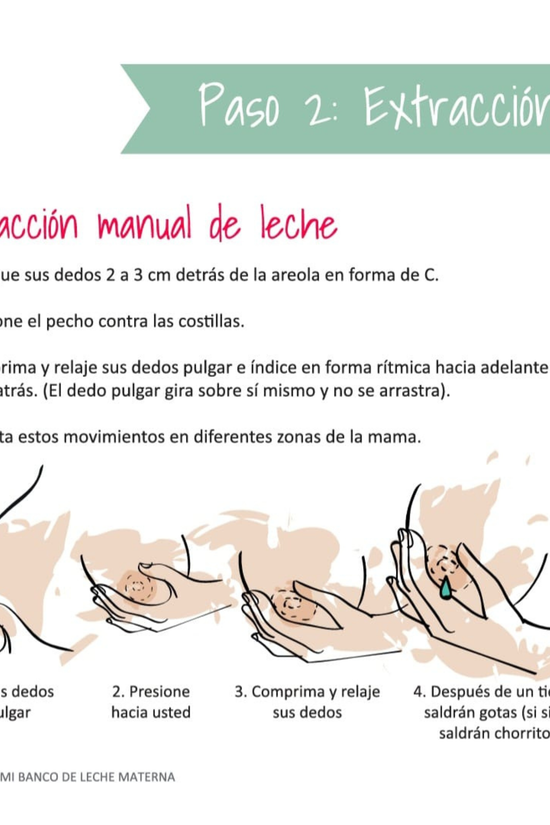 Libro "Creando mi banco de leche materna" Dra. Vanessa Chacin