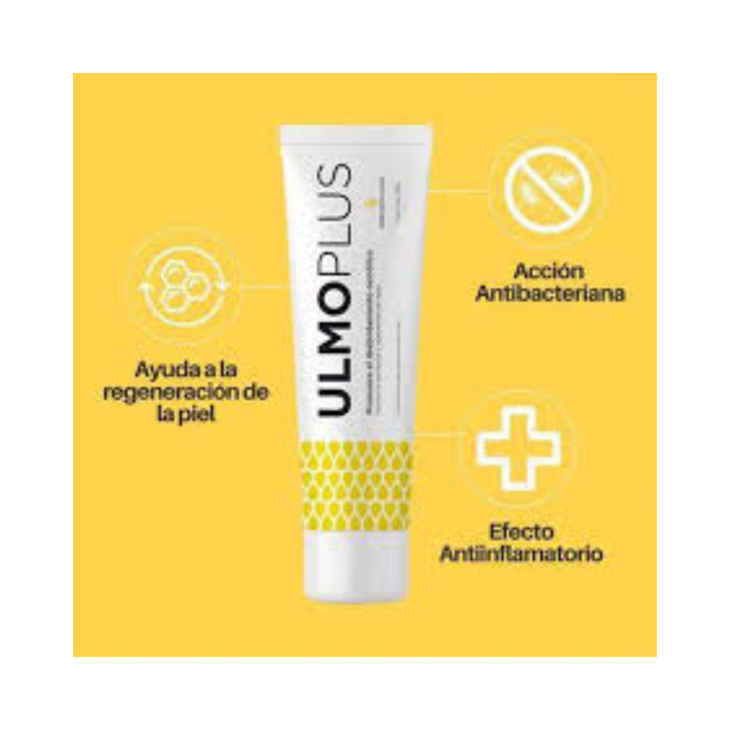 Ulmoplus Andes Nutraclinic Miel De Ulmo Gel 30 Gr.