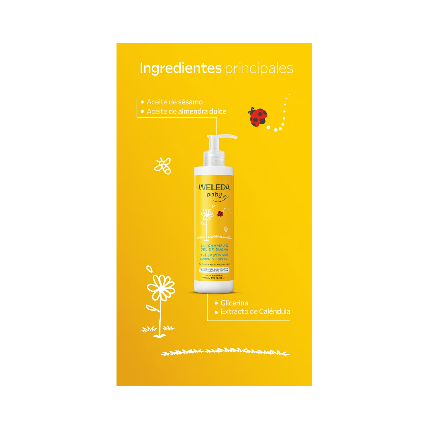 Shampoo Y Gel De Ducha Caléndula Weleda 400 ML