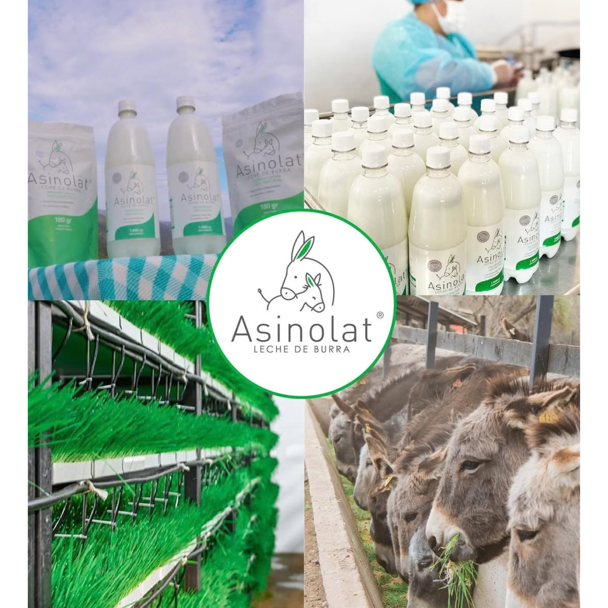 LECHE DE BURRA LIOFILIZADA - ASINOLAT