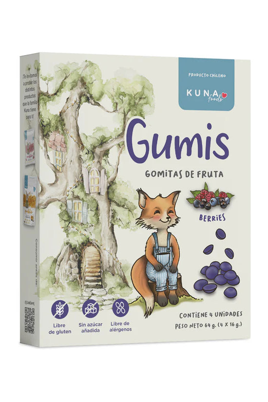 GOMITAS DE FRUTA GUMIS 64GR (4x16gr) KUNA FOODS