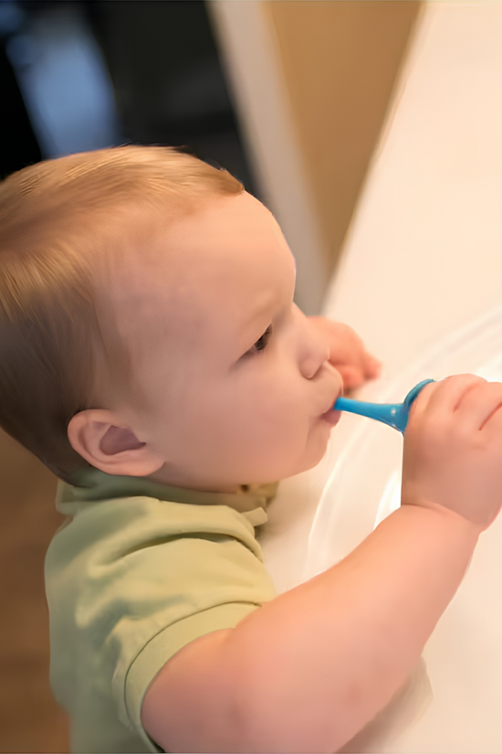 Cepillo de Dientes para Bebés Animales Dr Brown's 0-3 años
