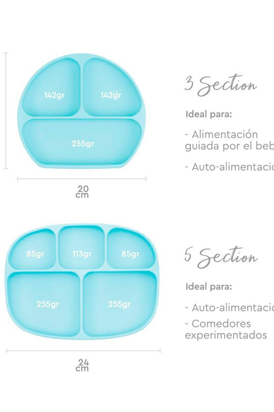 PLATO CON AGARRE + TAPA  BUMKINS