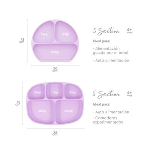 PLATO CON AGARRE + TAPA  BUMKINS