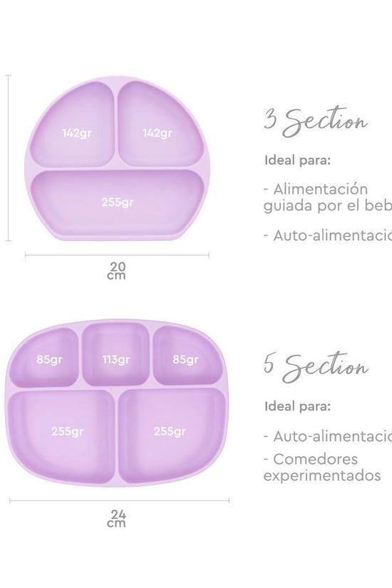 PLATO CON AGARRE + TAPA  BUMKINS