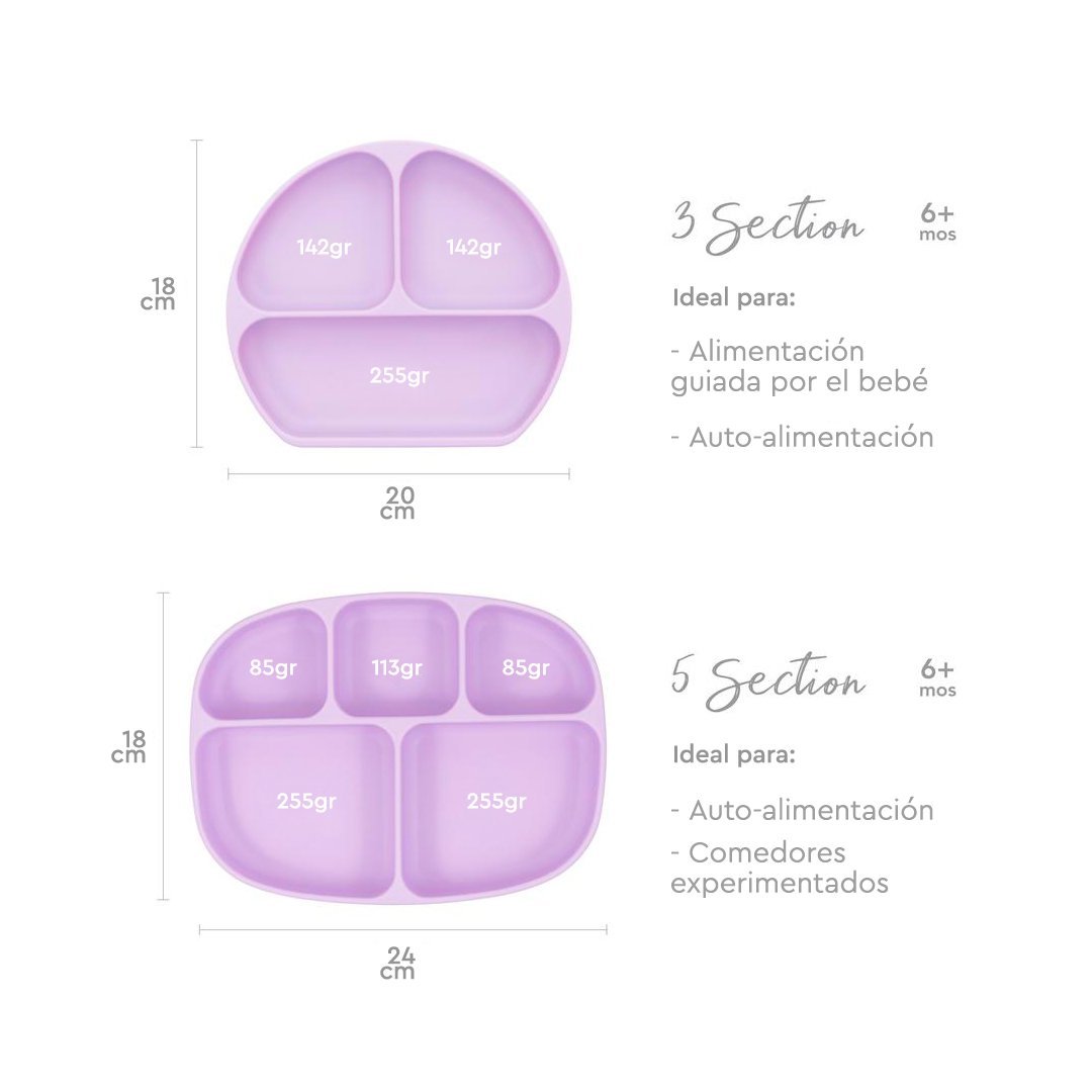 PLATO CON AGARRE + TAPA  BUMKINS