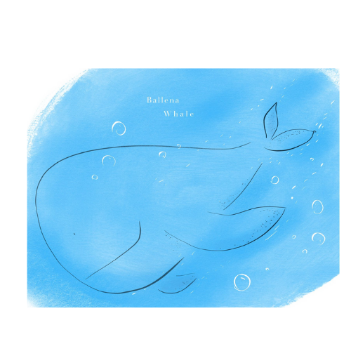 Cuadro Infantil Mi Ricón Ilustrado ballena